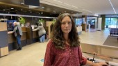 Efter turbulensen – Anna Falk ska lyfta Sörmlands Sparbanks hållbarhetsarbete: "Det finns ett otroligt engagemang"