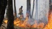 SMHI: Stor risk för gräsbränder