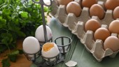 Fortsatt brist på ägg