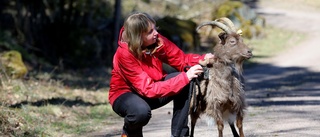 De har valt att leva utan mobil