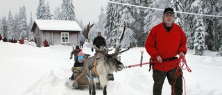 Tomtedragarna stulna ur hagen stal stulna