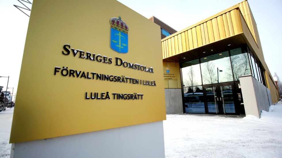 En 19-åring, från Luleå, åtalas för grovt bedrägeri och dataintrång.