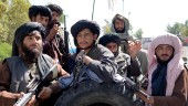 Utvisningar till Afghanistan verkställs inte