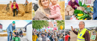 TV • BILDEXTRA • Stor folkfest under Skördefestivalen • Grundaren: "Känns som att hela stan är tömd på bilar"
