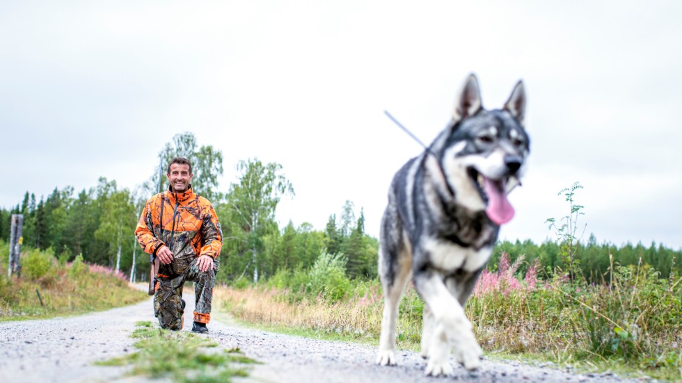"Sveaskog är en bra och enkel markägare att ha att göra med", säger Thomas Schäufele, en av Sveaskogs 25 000 jägare.