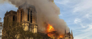 Gotländsk forskning används när Notre Dame återuppbyggs