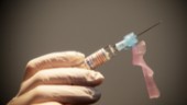 Färre vaccindoser till Västerbotten än vad regionen hade hoppats på: ”Vi kommer att hålla på lite längre”