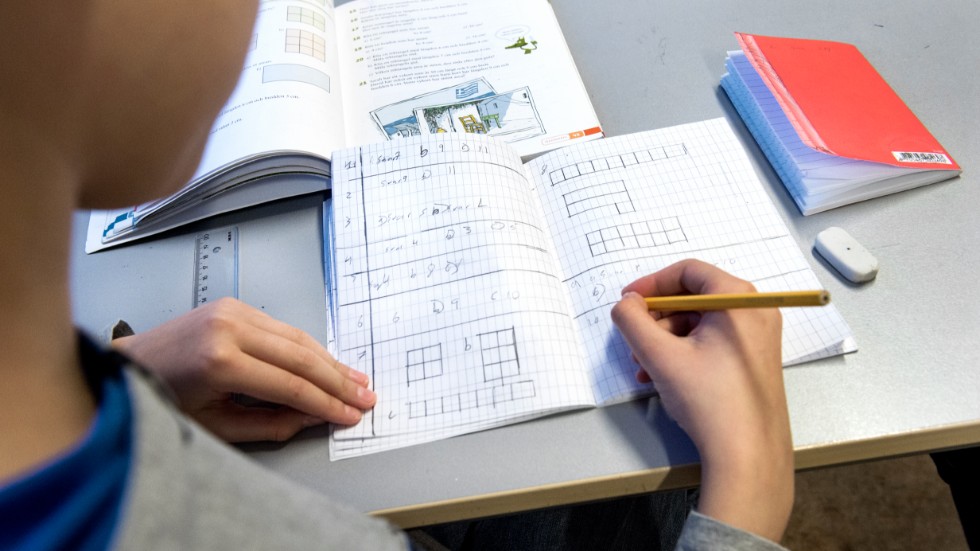 Cirka fem procent av Sveriges elever har stora svårigheter med matematikinlärningen. Det finns än idag inga bra instrument för att kunna ge diagnos. 