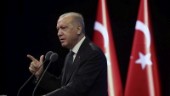 Turkisk kritik mot Israel-Bahrain-avtal