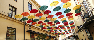De har hängt upp 139 paraplyer mitt i kvarteret