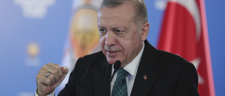 Erdogan stämmer politisk rival