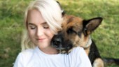 Hundpsykologen: "Många kommer avlivas om ett halvår"