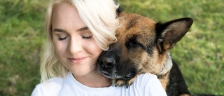 Hundpsykologen: "Många kommer avlivas om ett halvår"