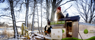 Nu är Närjeholmsdiket i Eskilstuna rensat från sly: "Som en djungel"