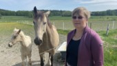 Sadeltjuvar har slagit till igen – nu i Mariefred