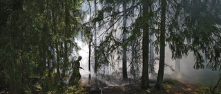 Skogsbrand bekämpades utanför Borensberg