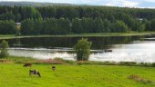 Mat på bordet nu och i framtiden? 