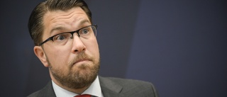Stenevi till Åkesson: "Homofobt dravel"