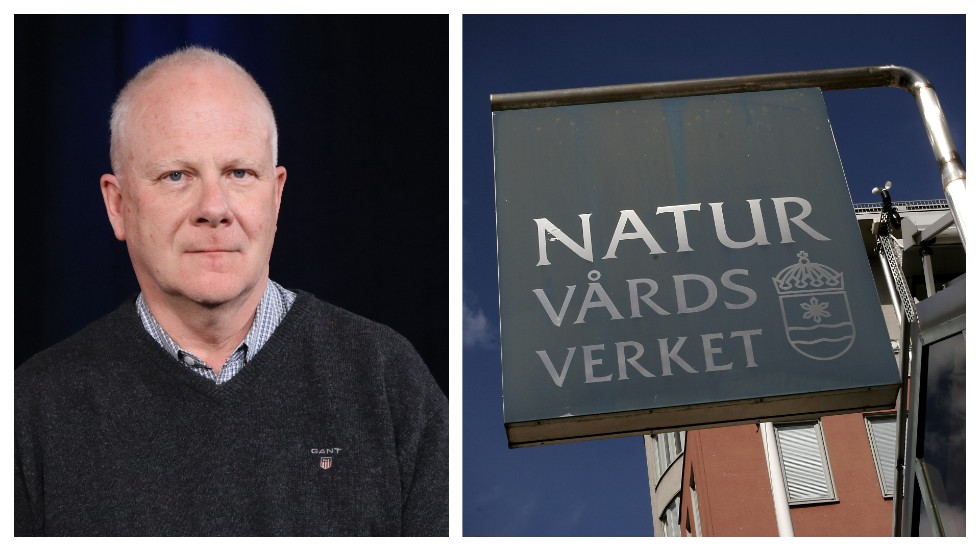 Naturvårdsverket kan ta beslut om jakt på emun