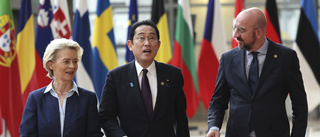 Kabel i Arktis ska knyta EU till Japan