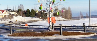 Hatten av för Bodens parkförvaltning