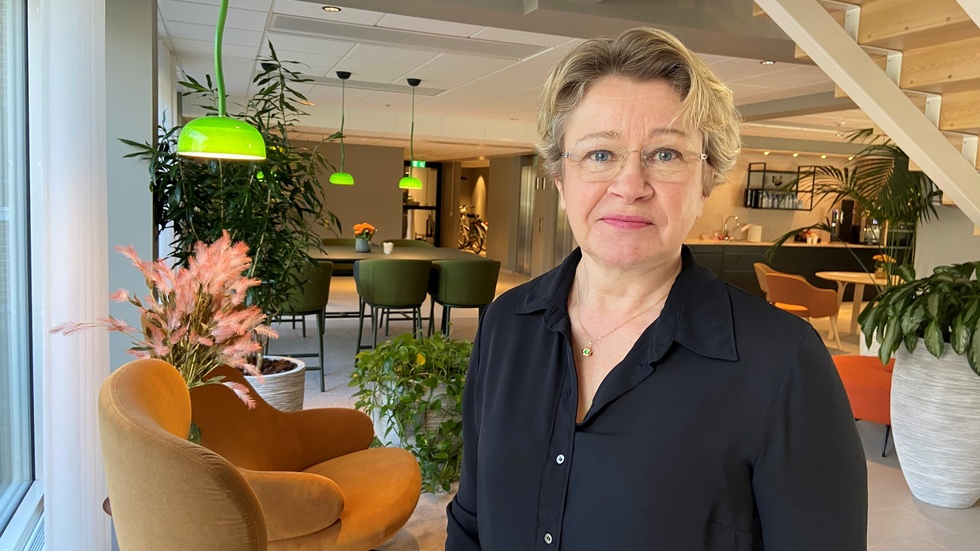 Monica Holtstad är ersättare i kommunstyrelsen och ledamot i fullmäktige i Norrköping. Hon är även ordförande för Liberalerna i Östergötland och bör kanske fundera på om det inte är dags för en ny gruppledare för partiet i Norrköping.