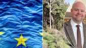 Skogen ska diskuteras – stort EU-möte i Skellefteå