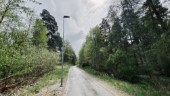 Onödig belysning dödsfällor för insekter