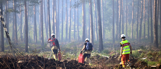 Extrem risk för skogsbrand – "påminner om 2018"