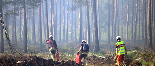 Så kan åtgärder förhindra skogsbrand i Norrbotten