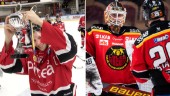 Nästa veckas match mellan Luleå Hockey och Piteå blir DM-final
