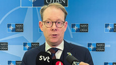 Billström: Nato-klart "om ett par veckor"