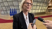 Svensk oro för mjukare regler i EU