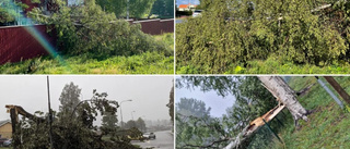 Power cuts affect thousands as violent storm hits Västerbotten