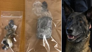 Polishund bakom knarktillslag i Hultsfred och Vimmerby