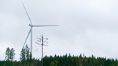 Winds of discontent: local opposition swells over turbine plans
