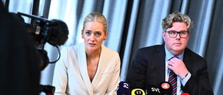 Norsk minister: Krävs hårda tag mot svenska gäng