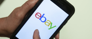 Ebay stäms av USA för miljöfarlig försäljning