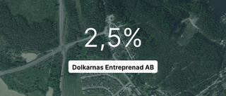 Dolkarnas Entreprenad AB bland de bästa i branchen i Flens kommun 2022