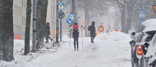 BILDEXTRA: Ja, se det snöar i Uppsala!