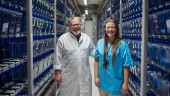 Universitets miljonsatsning – kika in i labbet med 80 000 fiskar