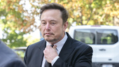 EU varnar Musk – falska uppgifter sprids på X
