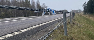 E4 tragedy: Skellefteå man dies in moose collision, four injured
