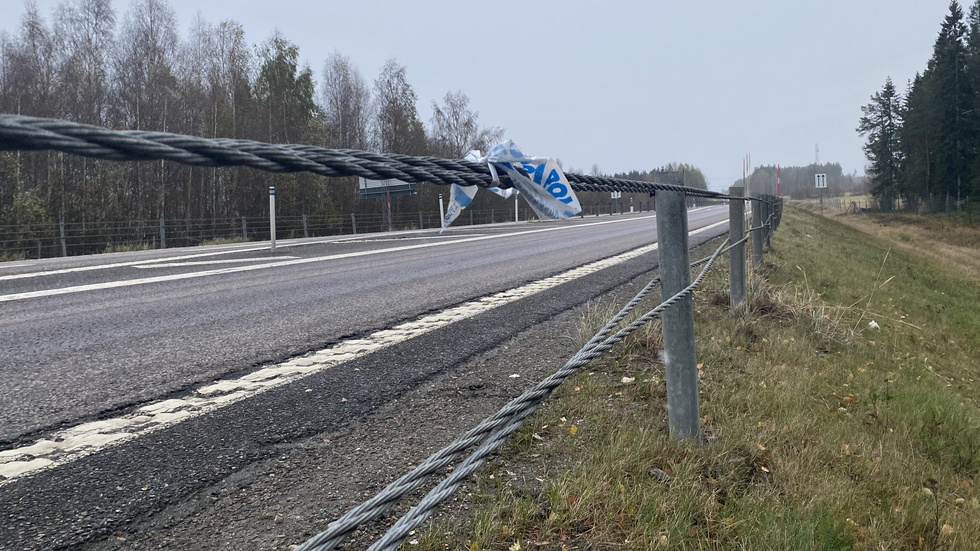 A car collided with a moose on the E4 south of Höglandsnäs near Hortlax on Wednesday. All five people were taken to hospital, and later it was announced that a man from Skellefteå had passed away.