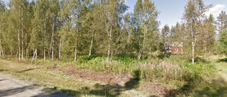 Skog i Norsjö såld