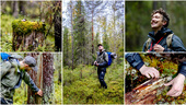 Uppdrag: Hitta skyddsvärd skog i Norrbottens län