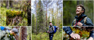 Uppdrag: Hitta skyddsvärd skog i Norrbottens län