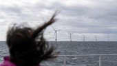 Ingen vill ha brittiska vindkraftkontrakt