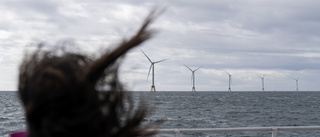 Ingen vill ha brittiska vindkraftkontrakt