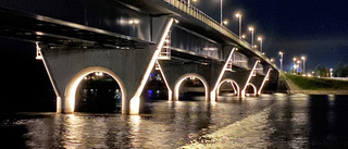 Britta Boströms bild av nya Kalixbron